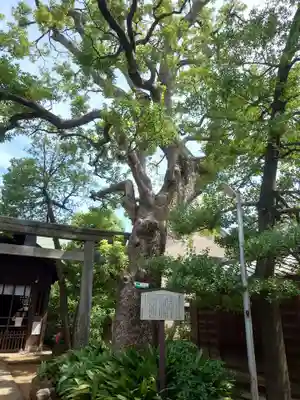 鹿嶋神社(東京都)