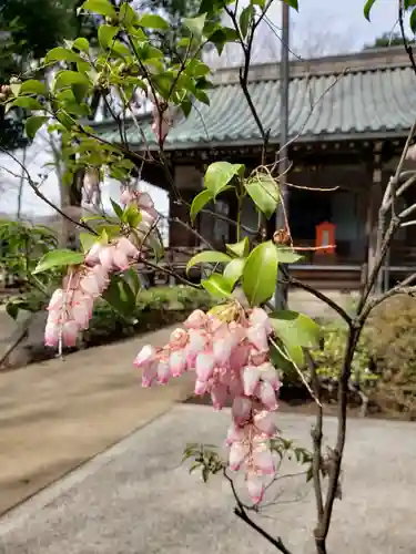 妙法寺(東京都)