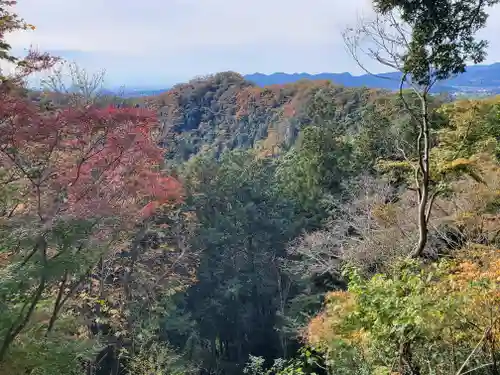 唐澤山神社の景色