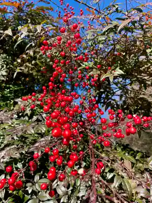 清水観音堂(東京都)