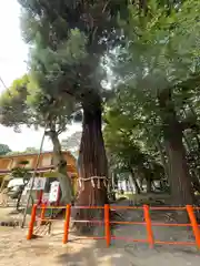 息栖神社(茨城県)