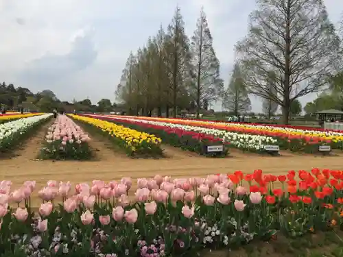 布施弁天 東海寺の景色