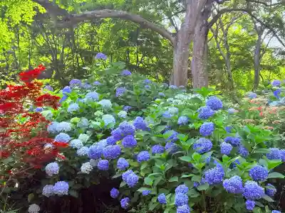 普門寺(切り絵御朱印発祥の寺)(愛知県)