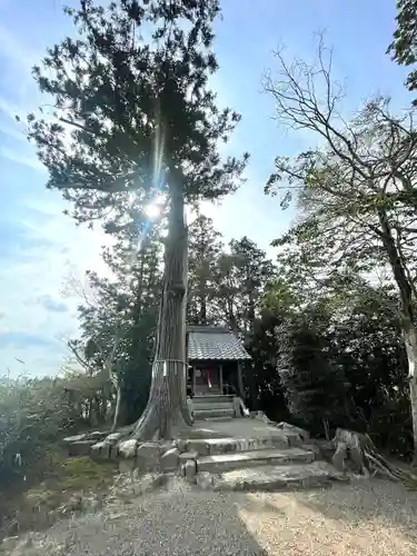 神社(滋賀県)