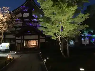 高台寺(高台寿聖禅寺・高臺寺)の本殿・本堂