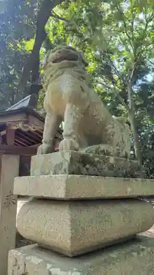 伊豫神社(愛媛県)