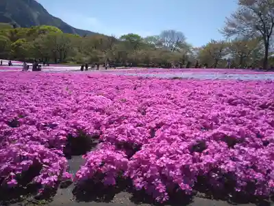葛葉稲荷神社(埼玉県)