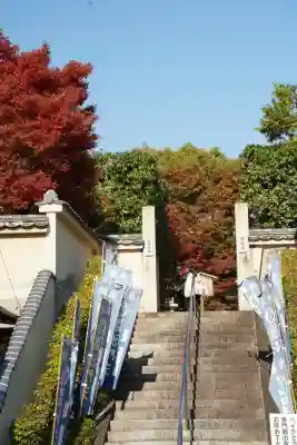 勝林寺(京都府)