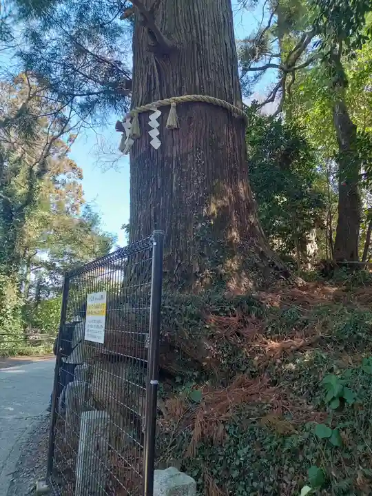 高尾山薬王院(東京都)
