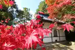 安国寺の自然