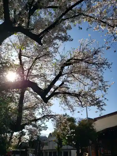 本郷氷川神社(東京都)