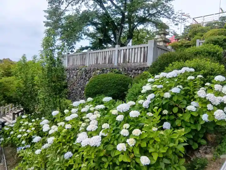 成田山名古屋別院大聖寺(犬山成田山)(愛知県)