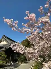 胎蔵寺の自然