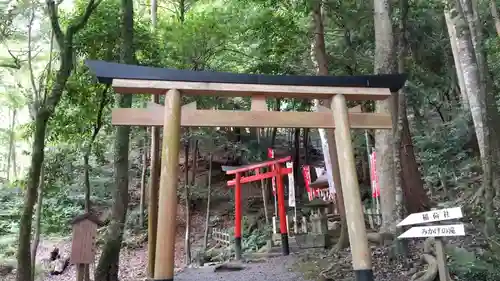 出雲大神宮の鳥居