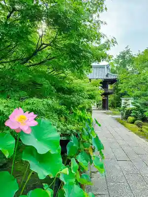 伊勢の国 四天王寺(三重県)