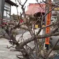 大鏑神社の自然