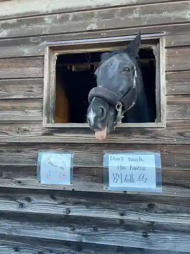 小室浅間神社(山梨県)