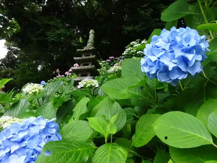 長谷寺(神奈川県)