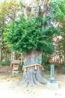 網場神社(宮城県)