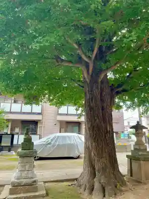 成田山不動大教会(東京都)