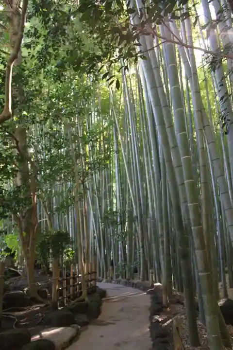 報国寺(神奈川県)
