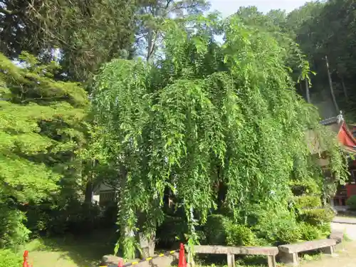 長命寺(滋賀県)