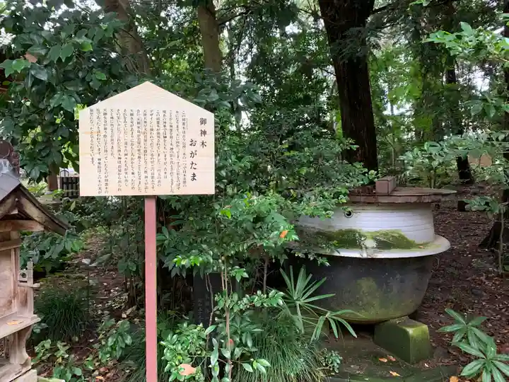 大宝八幡宮の歴史