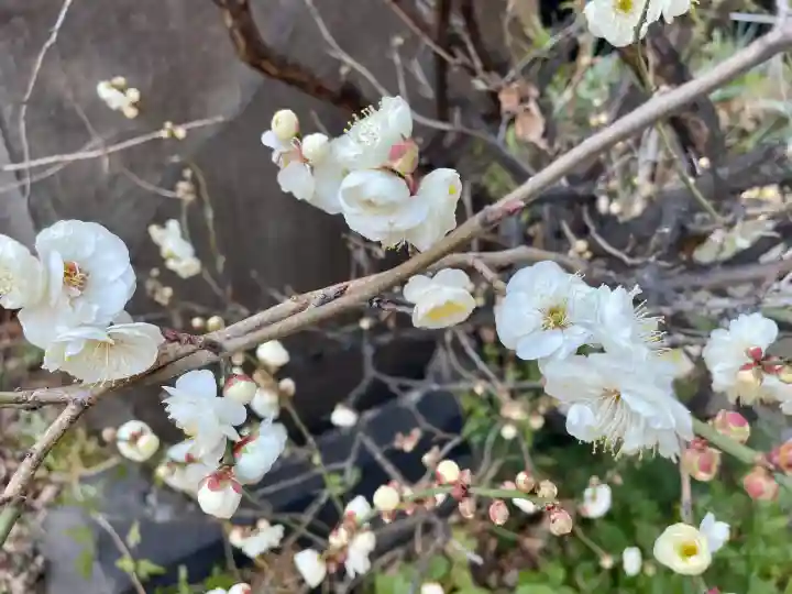 妙典寺の{uncategorized: "未分類", other: "その他", undefined: "問題あり", building: "その他建物", grave: "お墓", sacred_gate: "鳥居", guardian: "狛犬", statue: "像", buddha: "仏像", history: "歴史", nature: "自然", garden: "庭園", animal: "動物", pagoda: "塔", temizu: "手水舎", mountain_gate: "山門・神門", sanctuary: "本殿・本堂", subordinate: "末社・摂社", art: "芸術", scenery: "景色", jizo: "地蔵", ema: "絵馬", goshuin: "御朱印", omikuji: "おみくじ", items: "授与品その他", amulet: "お守り", goshuincho: "御朱印帳", eats: "食事", festival: "お祭り", votive_dance: "神楽", shichigosan: "七五三参", wedding: "結婚式", experience: "体験その他", initially: "初詣", around: "周辺", anti_infection: "感染症対策"}