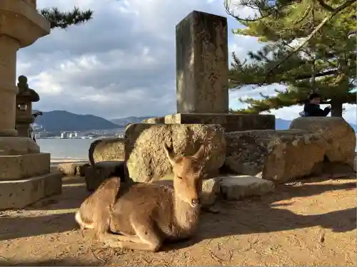 大願寺(広島県)