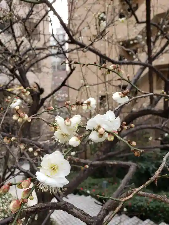 銀世界稲荷神社(東京都)