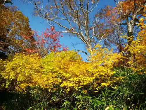 大雪山層雲峡神社(北海道)