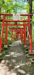 萬蔵稲荷神社の鳥居