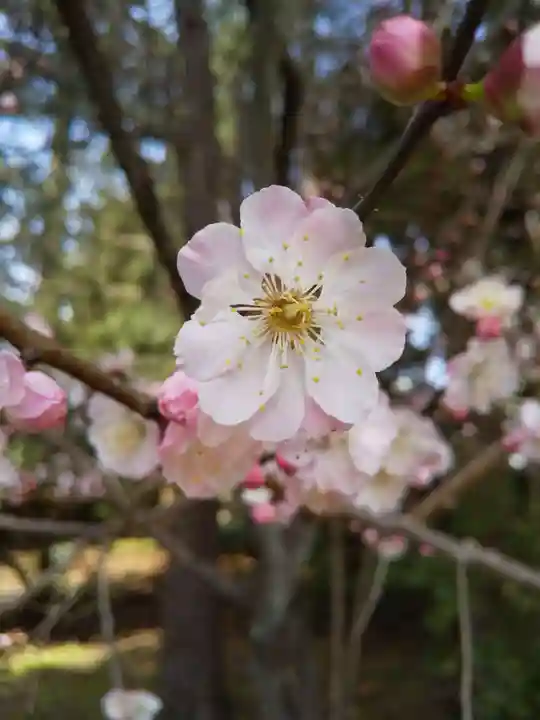 尾山神社(石川県)