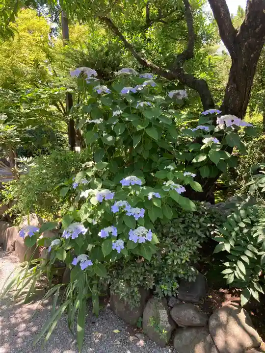 寶安寺(宝安寺)(神奈川県)