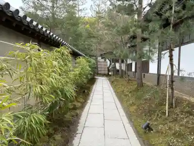 高台寺（高台寿聖禅寺・高臺寺）の{uncategorized: "未分類", other: "その他", undefined: "問題あり", building: "その他建物", grave: "お墓", sacred_gate: "鳥居", guardian: "狛犬", statue: "像", buddha: "仏像", history: "歴史", nature: "自然", garden: "庭園", animal: "動物", pagoda: "塔", temizu: "手水舎", mountain_gate: "山門・神門", sanctuary: "本殿・本堂", subordinate: "末社・摂社", art: "芸術", scenery: "景色", jizo: "地蔵", ema: "絵馬", goshuin: "御朱印", omikuji: "おみくじ", items: "授与品その他", amulet: "お守り", goshuincho: "御朱印帳", eats: "食事", festival: "お祭り", votive_dance: "神楽", shichigosan: "七五三参", wedding: "結婚式", experience: "体験その他", initially: "初詣", around: "周辺", anti_infection: "感染症対策"}