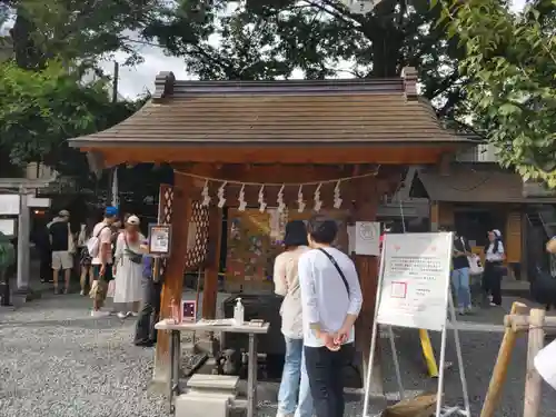 川越熊野神社の手水