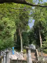 白山神社の自然