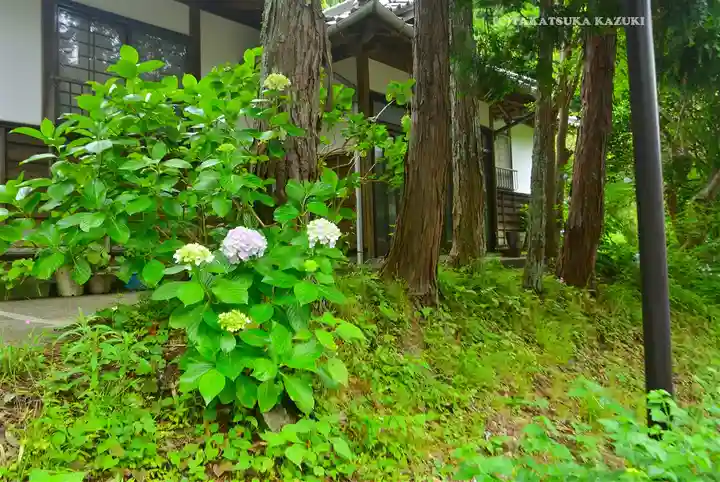 岩殿寺(神奈川県)