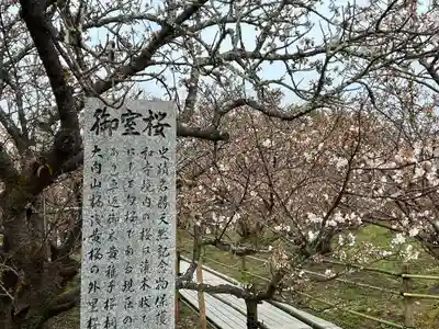 仁和寺(京都府)