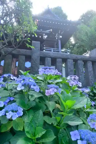 白山神社の庭園
