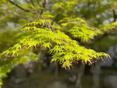 伊勢の国 四天王寺(三重県)