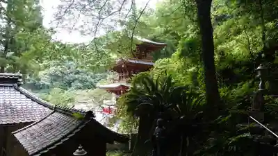青龍寺(高知県)