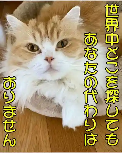 西教寺（下松駅徒歩５分）(山口県)