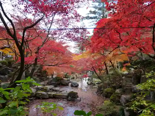 洞窟観音・徳明園・山徳記念館の景色