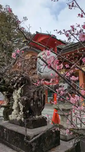 長岡天満宮の狛犬