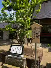 仁木神社(北海道)