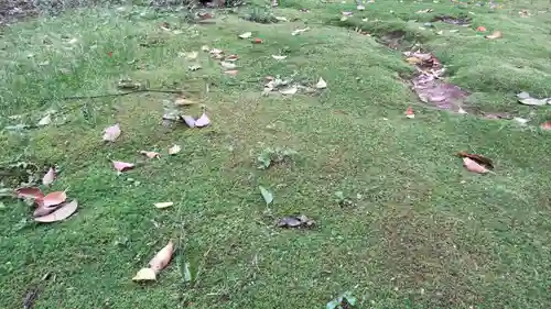 賀茂神社の自然