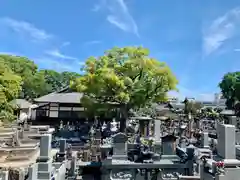 江東寺のお墓