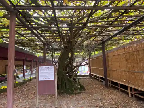 笠間稲荷神社の庭園