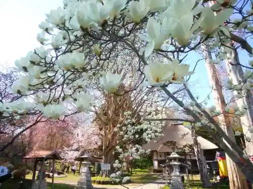 有珠善光寺の自然